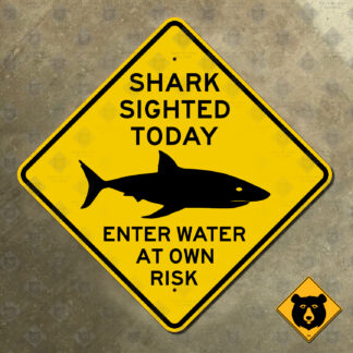Australia Shark Sighted Today warning sign